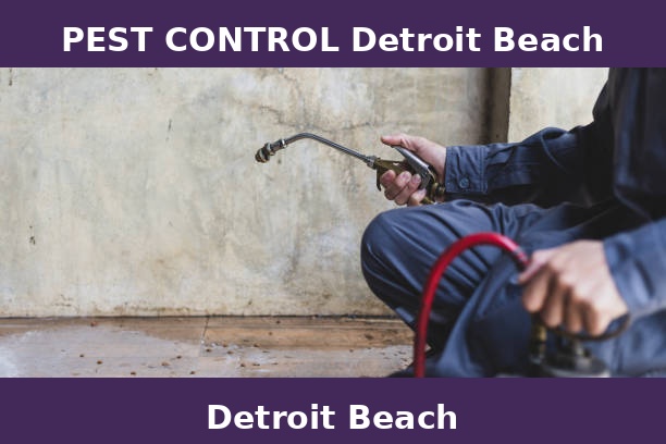 PEST CONTROL Detroit Beach